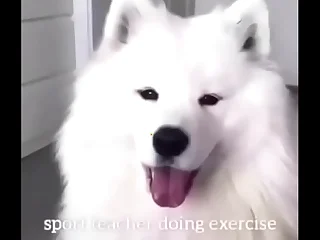 Main fucks doggiestyle